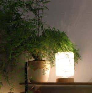 Lampada da tavolo Chrysalide