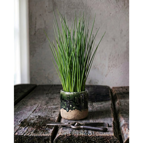 Mini fioriera e vaso per piante grasse in gres fatto a mano Muschio (12,5x12,5 cm). Vaso verde cemento e bianco per arredo in stile Japandi e Wabi-Sabi.