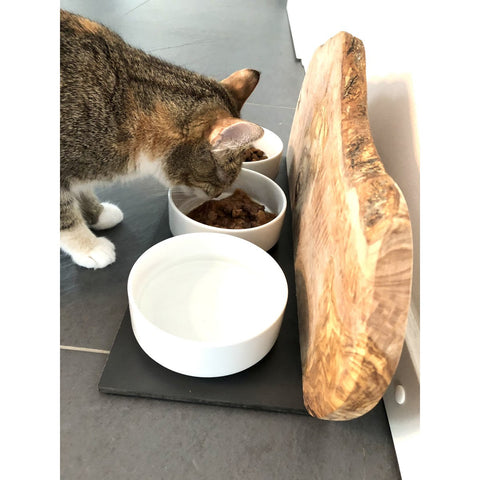 accessori gatti legno naturale