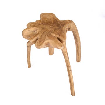 Il Tavolino Rooty in Radice di Teak Naturale