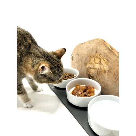 ciotole gatto whisker friendly triple