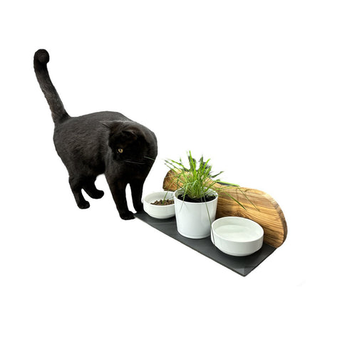 mangiatoia gatti legno ulivo 2 ciotole