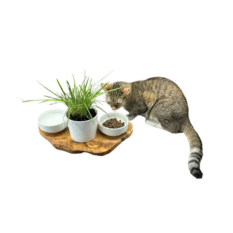 mangiatoia gatto antiscivolo in legno